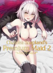 Chaldea Soap 2 Iinari Tsundere Gohoushi Maid